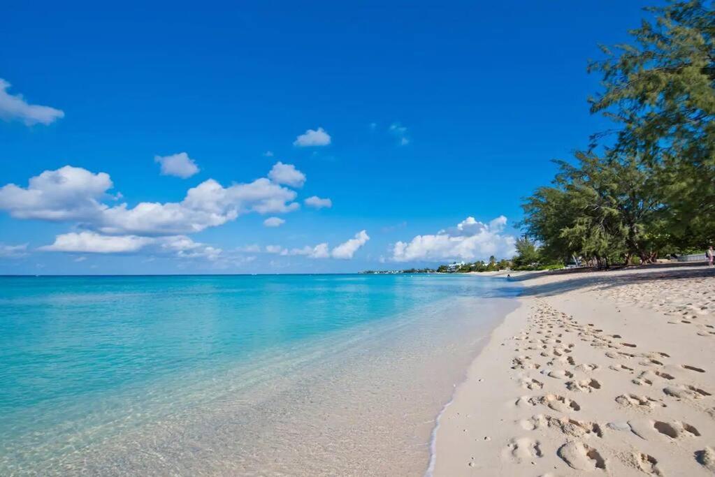 Luxury Ocean Front Seadreams 2 With 7 Mile Beach Views West Bay Luaran gambar